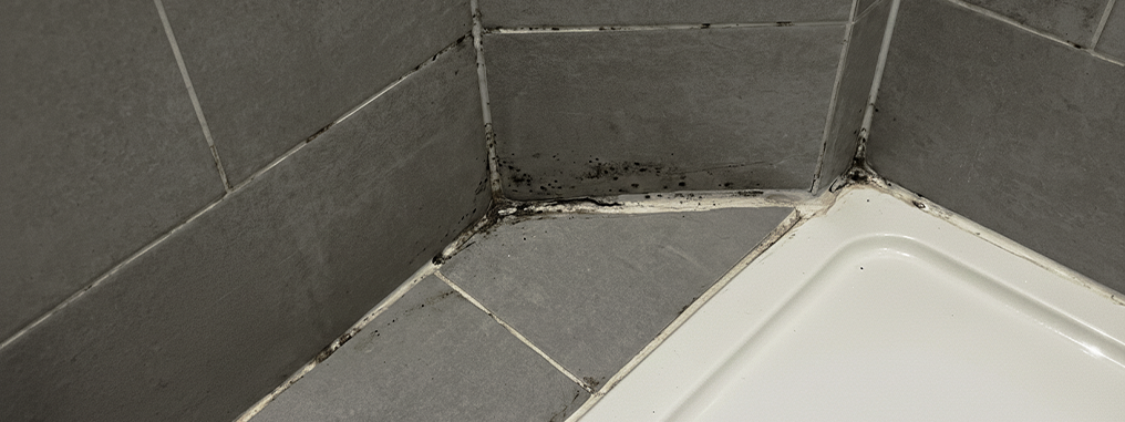 mould in bathroom