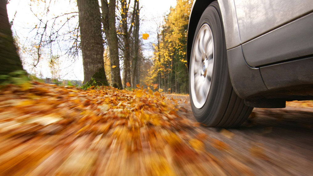 a car drives through the autumn leaves